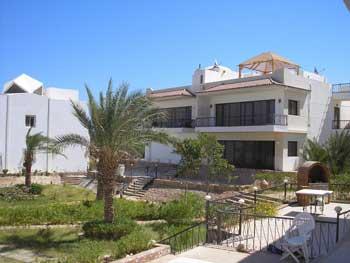 ���� (2 �������) ����� � �����, �������