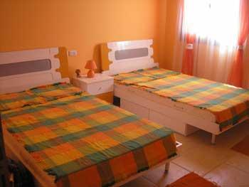 ���� (2 �������) ����� � �����, �������